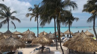 Aruba, one happy island - Palapas on the white sand beach with clear blue water