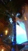 Superflow Beach Club Bangkok - Decorated palm