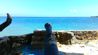 Isla del pirata - Cannon and sea view