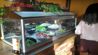 MooMba beach bar and restaurant - Salad buffet