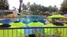 Hard Rock Hotel Pattaya pool - Swimming pool and guitar
