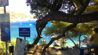 Anthony Quinn Bay - Bay entrance