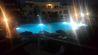Princess Flora - Pool at night