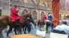 Strasbourg, European Capital - Horses passing next to the cathedral