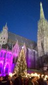 St Stephen Cathedral - Outdoor view with lights